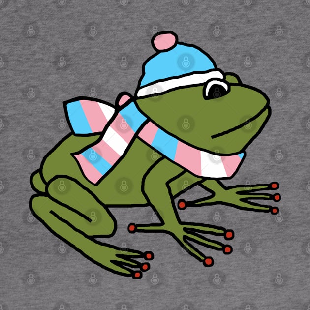 Cute Frog and Transgender Pride Flag Hat and Scarf by ellenhenryart